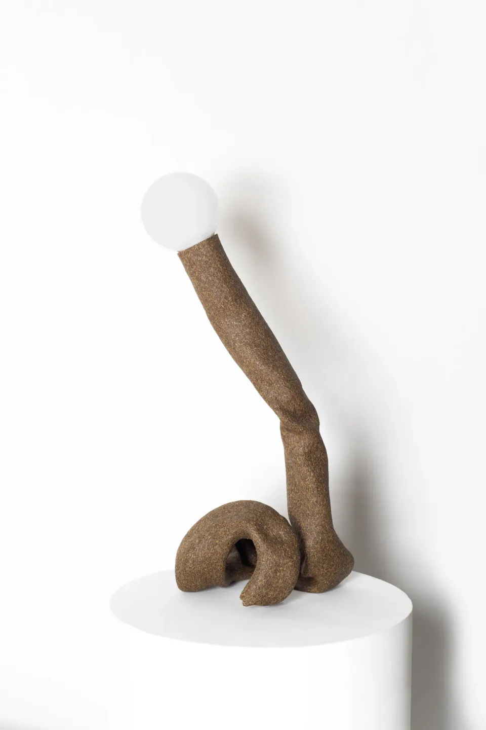 Senilia beer-material branch detail